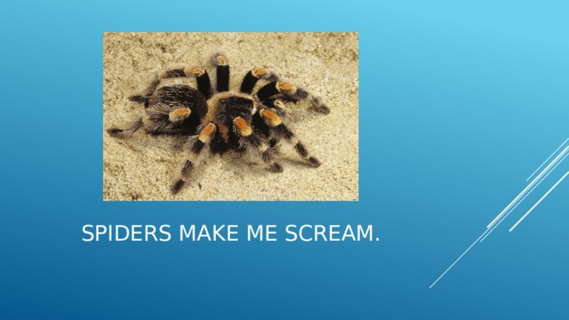 Spiders make me scream.   