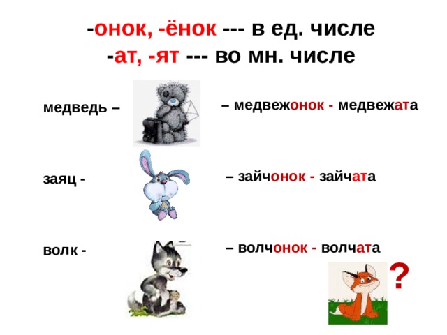 Deer множественное число