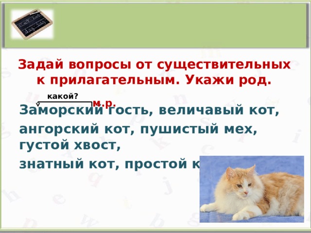 Задай вопросы от существительных к прилагательным. Укажи род. какой? м.р. Заморский гость, величавый кот, ангорский кот, пушистый мех, густой хвост, знатный кот, простой кот.   