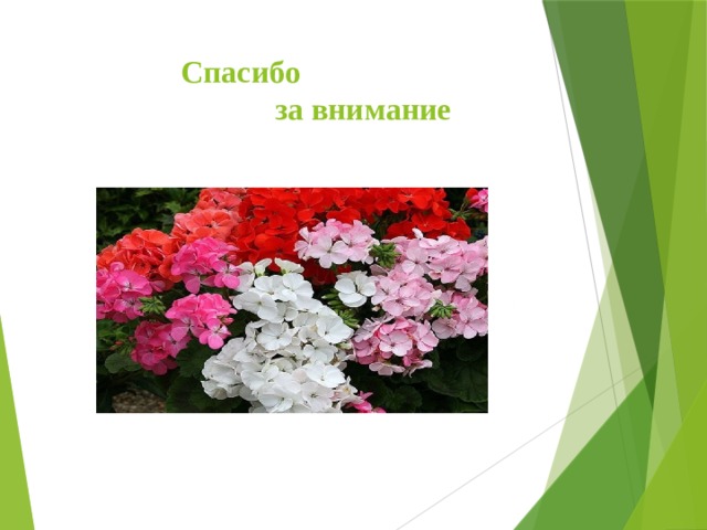  Спасибо  за внимание 