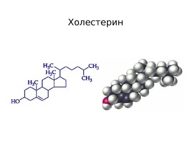 Холестерин 