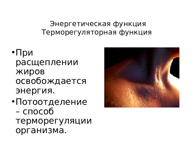 Энергетическая функция  Терморегуляторная функция   При расщеплении жиров освобождается энергия. Потоотделение – способ терморегуляции организма. 