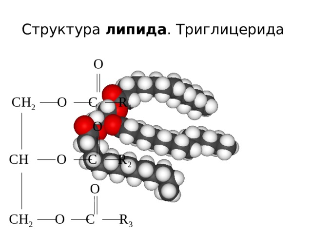 Пространственная молекула