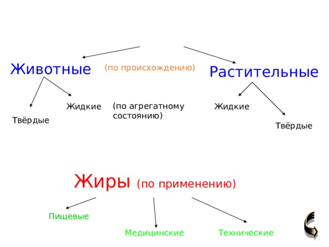Животные (по происхождению) Растительные (по агрегатному состоянию) Жидкие Жидкие Твёрдые Твёрдые Жиры (по применению) Пищевые Технические Медицинские 
