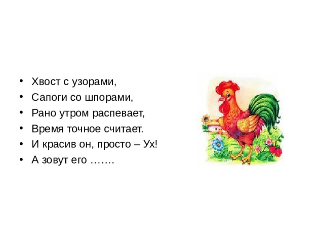 Хвост с узорами, Сапоги со шпорами, Рано утром распевает, Время точное считает. И красив он, просто – Ух! А зовут его ……. 