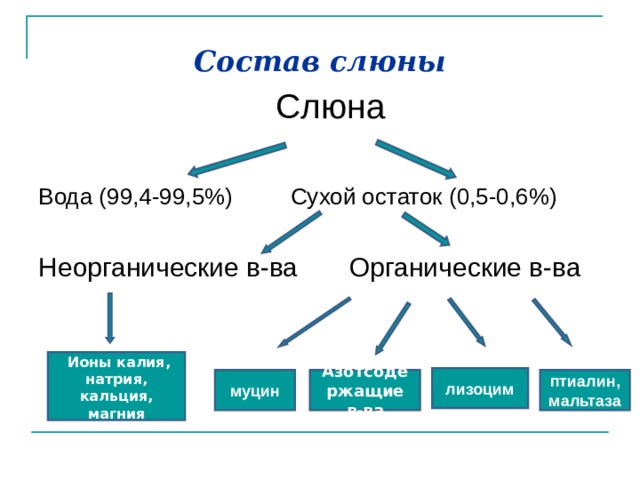 Состав слюны Слюна Вода (99,4-99,5%) Сухой остаток (0,5-0,6%) Неорганические в-ва Органические в-ва  Ионы калия, натрия, кальция, магния лизоцим птиалин, мальтаза Азотсодержащие в-ва муцин 