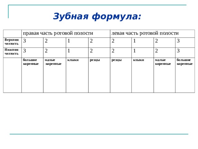 Зубная формула: правая часть ротовой полости Верхняя челюсть 3 Нижняя челюсть 3 2 1 большие коренные 2 левая часть ротовой полости малые  коренные 1 2 2 клыки 2 1 2 резцы 2 1 резцы 3 2 клыки 3 малые коренные большие коренные 