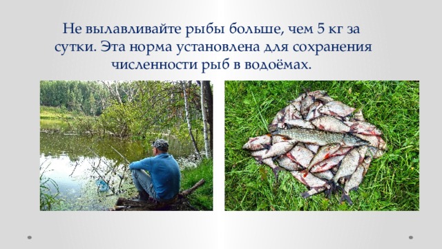 Не вылавливайте рыбы больше, чем 5 кг за сутки. Эта норма установлена для сохранения численности рыб в водоёмах.  