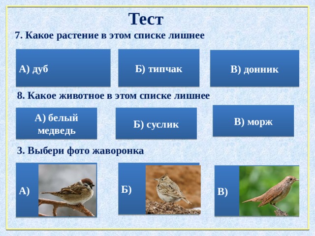 Тест 7. Какое растение в этом списке лишнее А) дуб Б) типчак В) донник 8. Какое животное в этом списке лишнее В) морж А) белый медведь Б) суслик 3. Выбери фото жаворонка А) Б) В) 