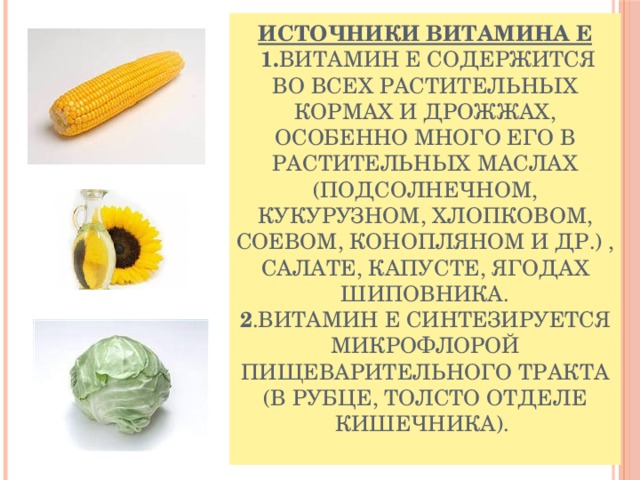 Источники витамина Е   1. Витамин Е содержится во всех растительных кормах и дрожжах, особенно много его в растительных маслах (подсолнечном, кукурузном, хлопковом, соевом, конопляном и др.) , салате, капусте, ягодах шиповника.  2 .Витамин Е синтезируется микрофлорой пищеварительного тракта (в рубце, толсто отделе кишечника).    