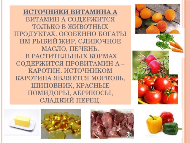 Источники витамина А  Витамин А содержится только в животных продуктах. Особенно богаты им рыбий жир, сливочное масло, печень.   В растительных кормах содержится провитамин А – каротин. Источником каротина является морковь, шиповник, красные помидоры, абрикосы, сладкий перец. 