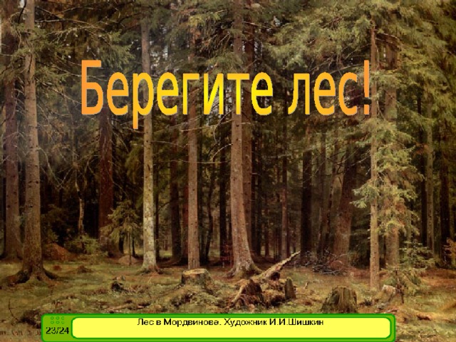 Название сообщества леса. Лесное сообщество на Кубани.