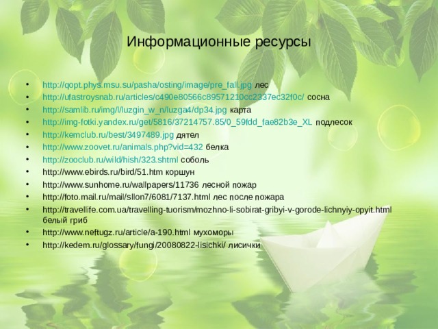 Информационные ресурсы