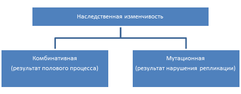 какую роль играют мутации в процессе эволюции. 99755132 1. какую роль играют мутации в процессе эволюции фото. какую роль играют мутации в процессе эволюции-99755132 1. картинка какую роль играют мутации в процессе эволюции. картинка 99755132 1. Подробное решение параграф 8 по биологии для учащихся 11 класса, авторов Сивоглазов В.И., Агафонова И.Б., Захарова Е.Т. 2016