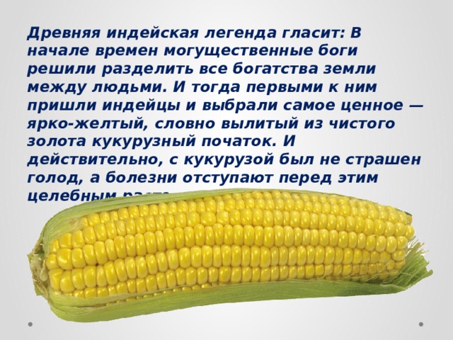 Древняя индейская легенда гласит: В начале времен могущественные боги решили разделить все богатства земли между людьми. И тогда первыми к ним пришли индейцы и выбрали самое ценное — ярко-желтый, словно вылитый из чистого золота кукурузный початок. И действительно, с кукурузой был не страшен голод, а болезни отступают перед этим целебным растением.