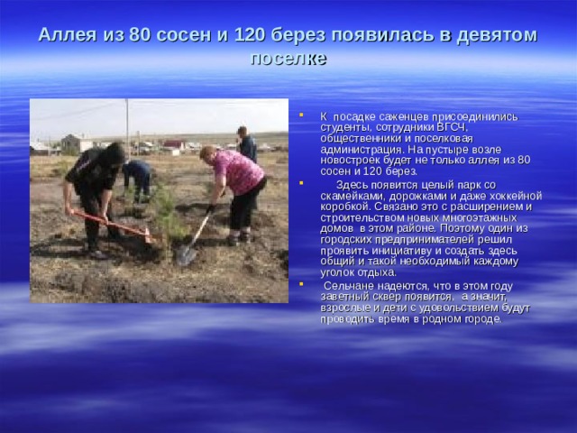 Аллея из 80 сосен и 120 берез появилась в девятом поселке К посадке саженцев присоединились студенты, сотрудники ВГСЧ, общественники и поселковая администрация. На пустыре возле новостроек будет не только аллея из 80 сосен и 120 берез. Здесь появится целый парк со скамейками, дорожками и даже хоккейной коробкой. Связано это с расширением и строительством новых многоэтажных домов в этом районе. Поэтому один из городских предпринимателей решил проявить инициативу и создать здесь общий и такой необходимый каждому уголок отдыха. Сельчане надеются, что в этом году заветный сквер появится, а значит, взрослые и дети с удовольствием будут проводить время в родном городе.