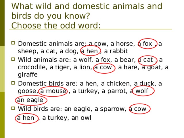        What wild and domestic animals and birds do you know?  Choose the odd word: Domestic animals are: a cow, a horse, a fox  , a sheep, a cat, a dog, a hen  , a rabbit Wild animals are: a wolf, a fox, a bear, a cat  , a crocodile, a tiger, a lion, a cow  , a hare, a goat, a giraffe Domestic birds are: a hen, a chicken, a duck, a goose, a mouse  , a turkey, a parrot, a wolf  ,  an eagle Wild birds are: an eagle, a sparrow, a cow  ,   a hen  , a turkey, an owl 