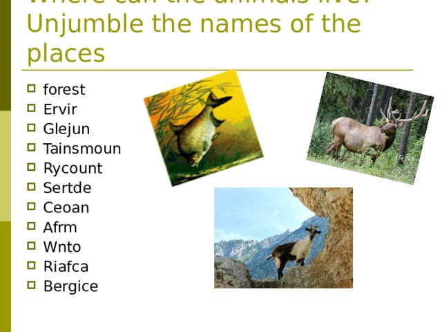 Where can the animals live? Unjumble the names of the places forest Ervir Glejun Tainsmoun Rycount Sertde Ceoan Afrm Wnto Riafca Bergice 
