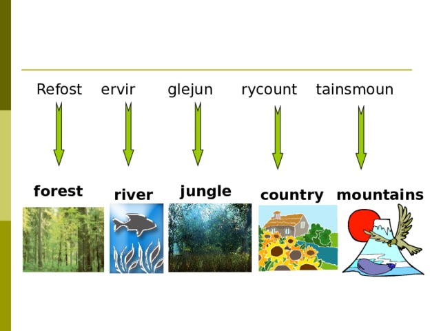  Refost ervir glejun rycount tainsmoun jungle forest river  country mountains 