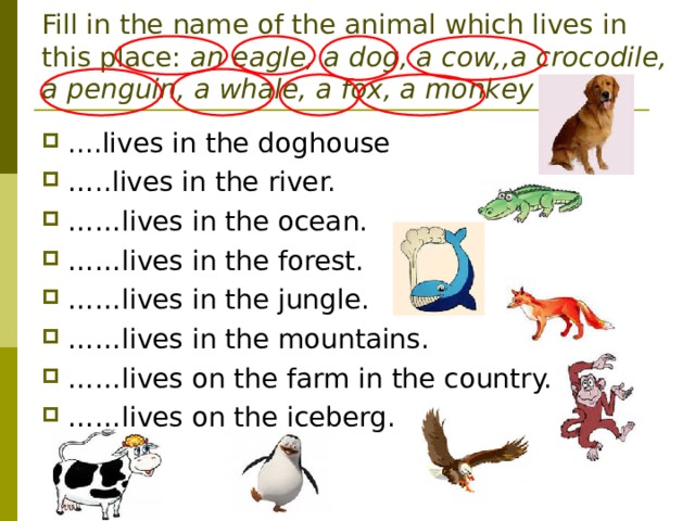Fill in the name of the animal which lives in this place:  an eagle, a dog, a cow, , a crocodile,  a penguin, a whale, a fox, a monkey ....lives in the doghouse … ..lives in the river. …… lives in the ocean. …… lives in the forest. …… lives in the jungle. …… lives in the mountains. …… lives on the farm in the country. …… lives on the iceberg. 