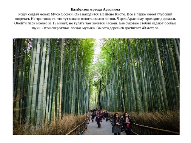 Бамбуковая роща Арасияма  Рощу создал монах Мусо Сосэки. Она находится в районе Киото. Все в парке имеет глубокий подтекст. Не зря говорят, что тут можно понять смысл жизни. Через Арасияму проходят дорожки. Обойти парк можно за 15 минут, но гулять там хочется часами. Бамбуковые стебли издают особые звуки. Это невероятная лесная музыка. Высота деревьев достигает 40 метров.   