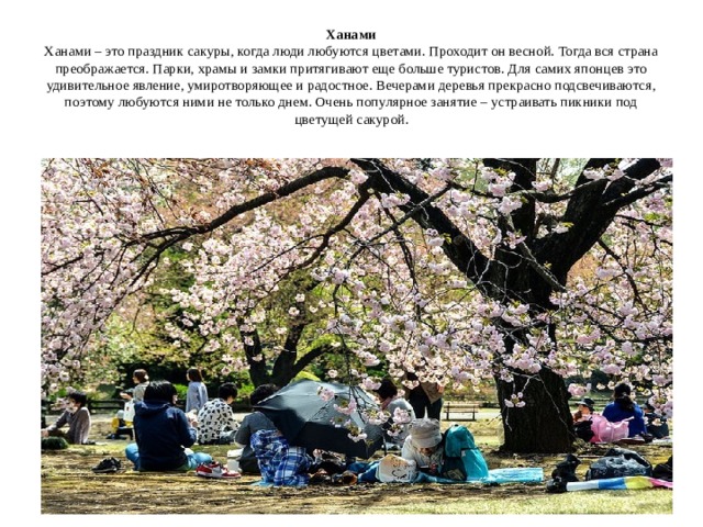 Ханами  Ханами – это праздник сакуры, когда люди любуются цветами. Проходит он весной. Тогда вся страна преображается. Парки, храмы и замки притягивают еще больше туристов. Для самих японцев это удивительное явление, умиротворяющее и радостное. Вечерами деревья прекрасно подсвечиваются, поэтому любуются ними не только днем. Очень популярное занятие – устраивать пикники под цветущей сакурой.   