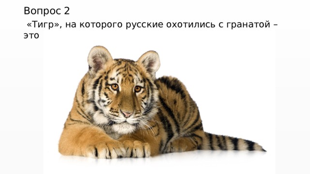 Вопрос 2   «Тигр», на которого русские охотились с гранатой – это ... Кто? 