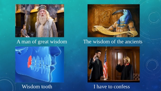 A man of great wisdom The wisdom of the ancients Wisdom tooth I have to confess 