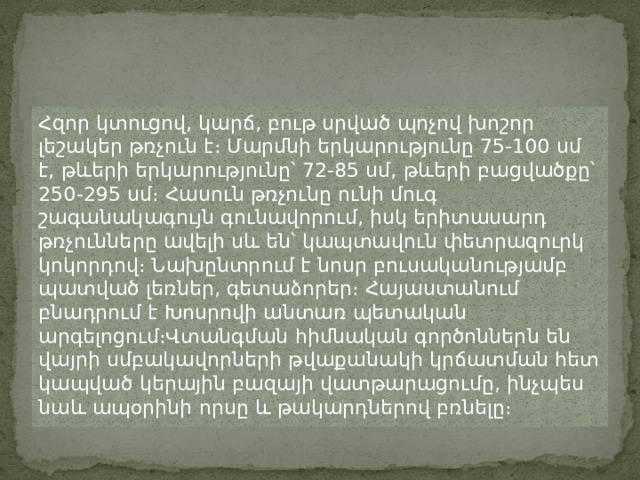 Հզոր կտուցով, կարճ, բութ սրված պոչով խոշոր լեշակեր թռչուն է։ Մարմնի երկարությունը 75-100 սմ է, թևերի երկարությունը՝ 72-85 սմ, թևերի բացվածքը՝ 250-295 սմ։ Հասուն թռչունը ունի մուգ շագանակագույն գունավորում, իսկ երիտասարդ թռչունները ավելի սև են՝ կապտավուն փետրազուրկ կոկորդով։ Նախընտրում է նոսր բուսականությամբ պատված լեռներ, գետաձորեր։ Հայաստանում բնադրում է Խոսրովի անտառ պետական արգելոցում։Վտանգման հիմնական գործոններն են վայրի սմբակավորների թվաքանակի կրճատման հետ կապված կերային բազայի վատթարացումը, ինչպես նաև ապօրինի որսը և թակարդներով բռնելը։ 