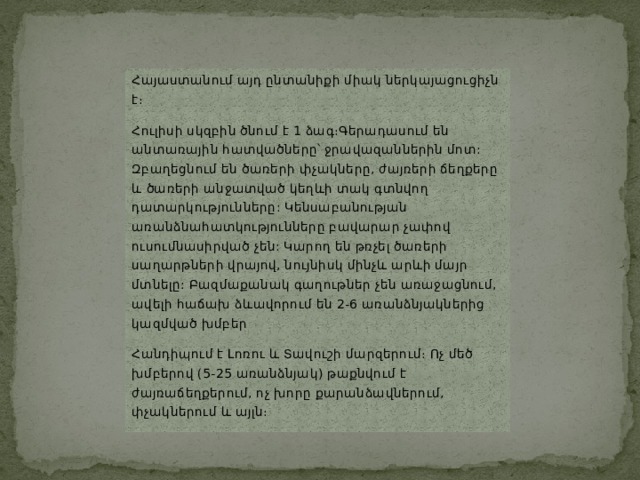 Հայաստանում այդ ընտանիքի միակ ներկայացուցիչն է։ Հուլիսի սկզբին ծնում է 1 ձագ։Գերադասում են անտառային հատվածները՝ ջրավազաններին մոտ: Զբաղեցնում են ծառերի փչակները, ժայռերի ճեղքերը և ծառերի անջատված կեղևի տակ գտնվող դատարկությունները: Կենսաբանության առանձնահատկությունները բավարար չափով ուսումնասիրված չեն: Կարող են թռչել ծառերի սաղարթների վրայով, նույնիսկ մինչև արևի մայր մտնելը: Բազմաքանակ գաղութներ չեն առաջացնում, ավելի հաճախ ձևավորում են 2-6 առանձնյակներից կազմված խմբեր Հանդիպում է Լոռու և Տավուշի մարզերում։ Ոչ մեծ խմբերով (5-25 առանձնյակ) թաքնվում է ժայռաճեղքերում, ոչ խորը քարանձավներում, փչակներում և այլն։ 