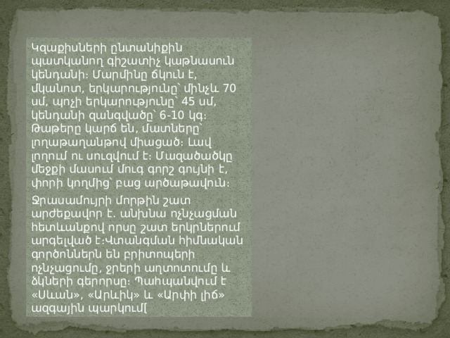 Կզաքիսների ընտանիքին պատկանող գիշատիչ կաթնասուն կենդանի։ Մարմինը ճկուն է, մկանոտ, երկարությունը՝ մինչև 70 սմ, պոչի երկարությունը՝ 45 սմ, կենդանի զանգվածը՝ 6-10 կգ։ Թաթերը կարճ են, մատները՝ լողաթաղանթով միացած։ Լավ լողում ու սուզվում է։ Մազածածկը մեջքի մասում մուգ գորշ գույնի է, փորի կողմից՝ բաց արծաթավուն։ Սնվում է հիմնականում ձկներով, գորտերով, երբեմն՝ բադերով։ Ջրասամույրի մորթին շատ արժեքավոր է․ անխնա ոչնչացման հետևանքով որսը շատ երկրներում արգելված է։Վտանգման հիմնական գործոններն են բրիտոպերի ոչնչացումը, ջրերի աղտոտումը և ձկների գերորսը։ Պահպանվում է «Սևան», «Արևիկ» և «Արփի լիճ» ազգային պարկում[ 