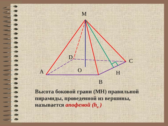 М D C O A H B Высота боковой грани (МН) правильной пирамиды, проведенной из вершины, называется апофемой (h a ) 17 