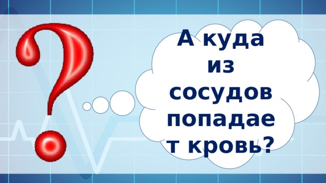 А куда из сосудов попадает кровь? 