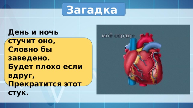Загадка День и ночь стучит оно, Словно бы заведено. Будет плохо если вдруг, Прекратится этот стук. 