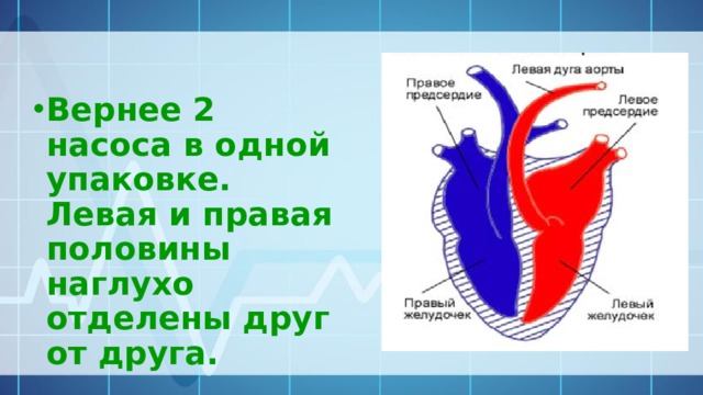 Вернее 2 насоса в одной упаковке. Левая и правая половины наглухо отделены друг от друга. 10 