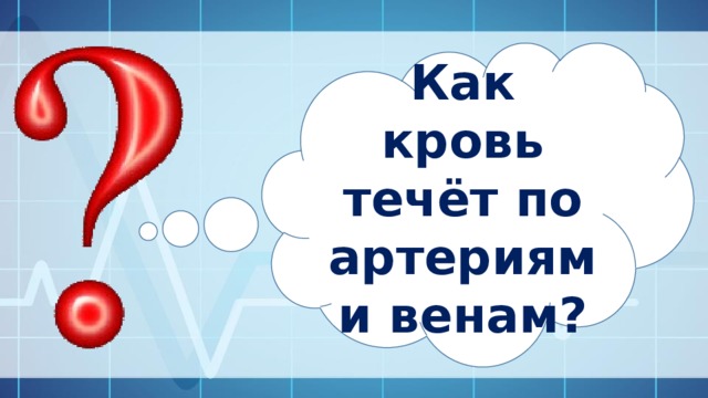 Как кровь течёт по артериям и венам? 