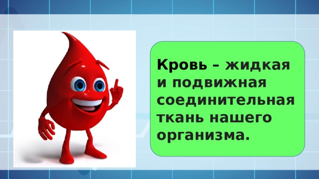 Кровь – жидкая и подвижная соединительная ткань нашего организма.    