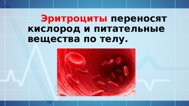 Эритроциты переносят кислород и питательные вещества по телу. 