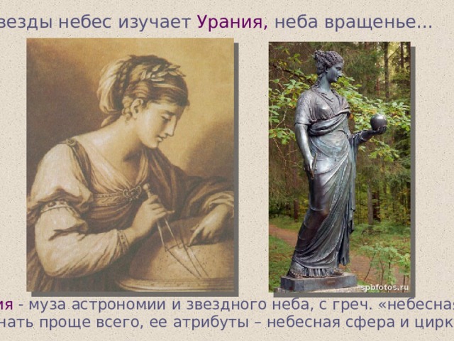 … звезды небес изучает Урания,  неба вращенье… Урания  - муза астрономии и звездного неба, с греч. «небесная». Ее узнать проще всего, ее атрибуты – небесная сфера и циркуль 