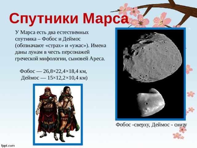 Спутники Марса У Марса есть два естественных спутника – Фобос и Деймос (обозначают «страх» и «ужас»). Имена даны лунам в честь персонажей греческой мифологии, сыновей Ареса. Фобос — 26,8×22,4×18,4 км,  Деймос — 15×12,2×10,4 км) Фобос -сверху, Деймос - снизу 