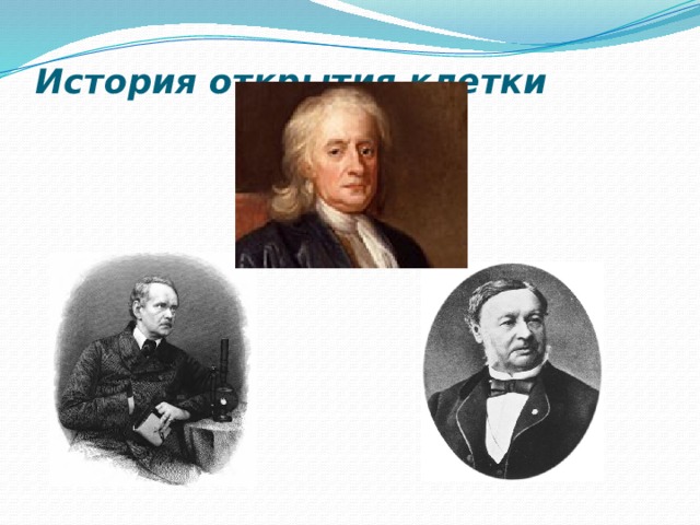 История открытия клетки