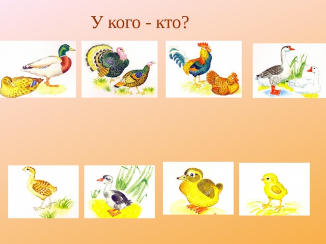 У кого - кто? 