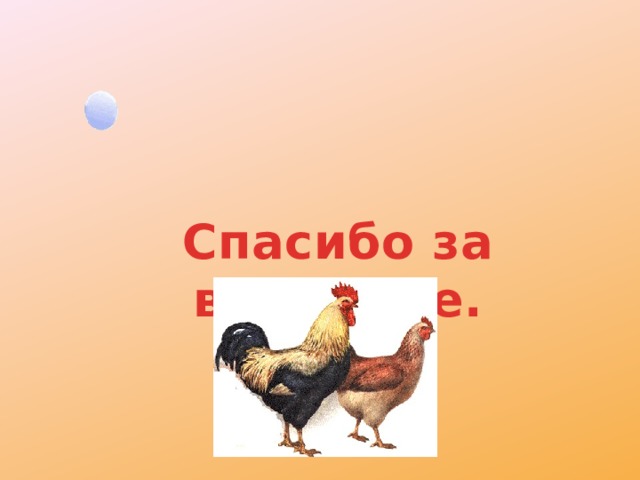 Спасибо за внимание. 