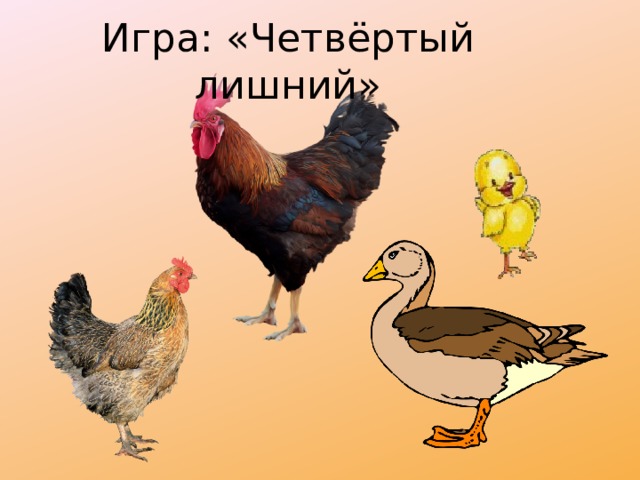 Игра: «Четвёртый лишний» 