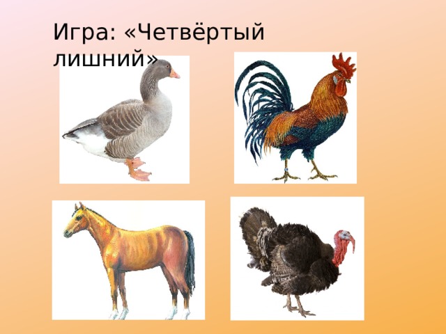 Игра: «Четвёртый лишний» 