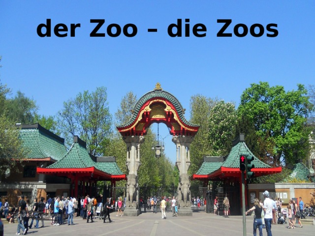 der Zoo – die Zoos 
