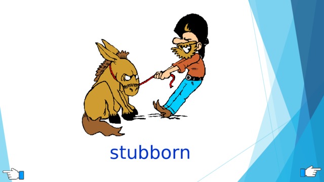 stubborn  
