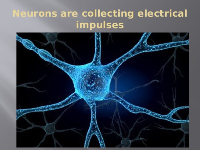Neurons are collecting electrical impulses 