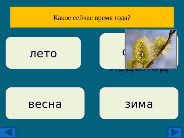 Какое сейчас время в доме. Какое сейчас время года. Какое щас время года. Сегодня какое время года.