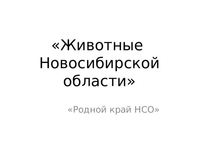 какие животные водятся в новосибирской области. Смотреть фото какие животные водятся в новосибирской области. Смотреть картинку какие животные водятся в новосибирской области. Картинка про какие животные водятся в новосибирской области. Фото какие животные водятся в новосибирской области